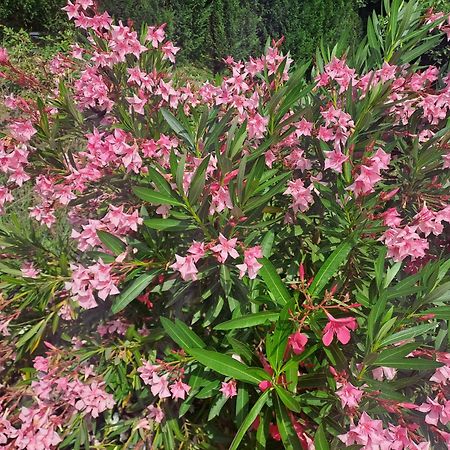 Le Gite Calluna 사블레 외부 사진