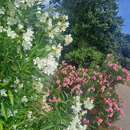 Le Gite Calluna 사블레 외부 사진