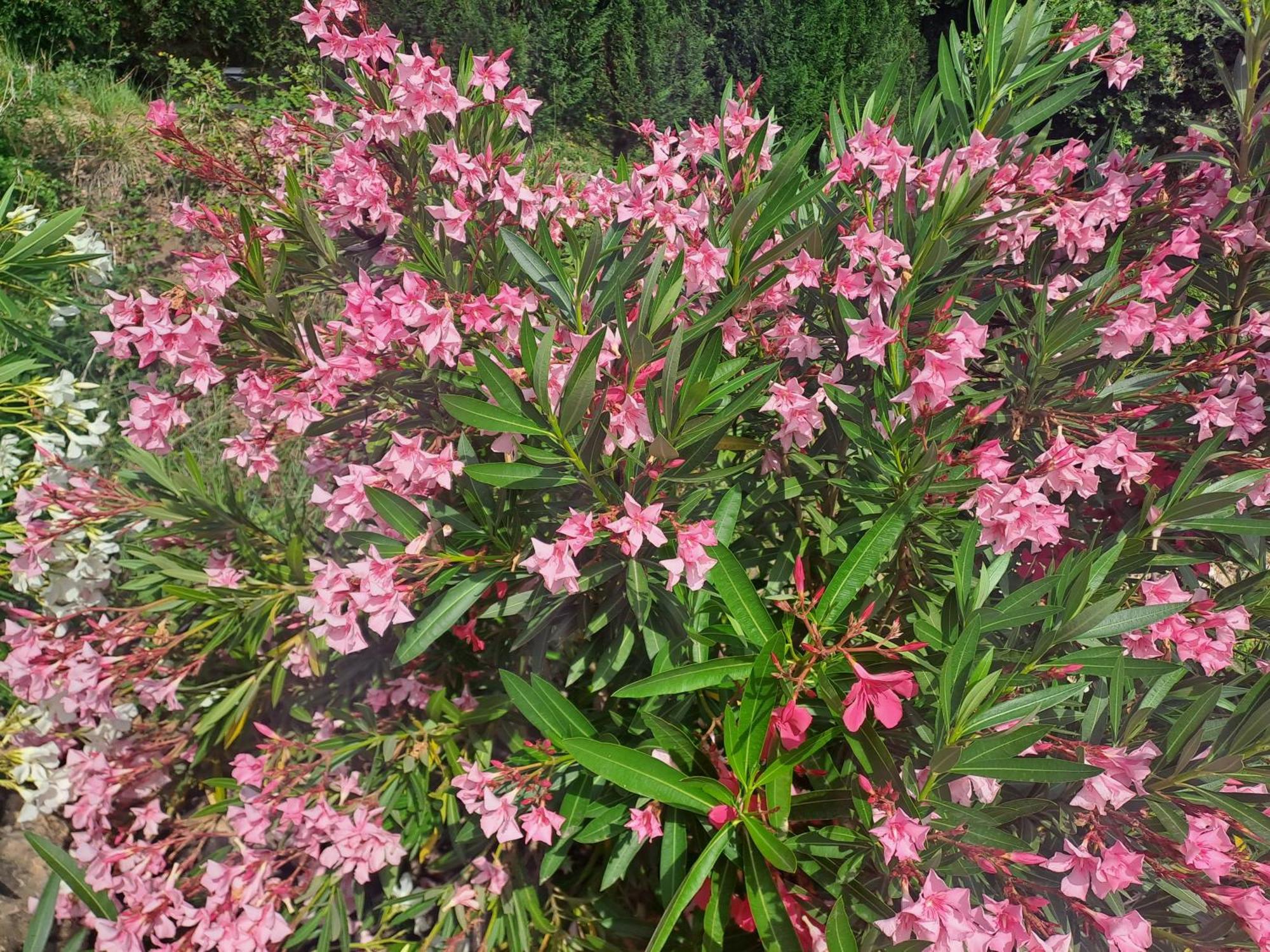 Le Gite Calluna 사블레 외부 사진