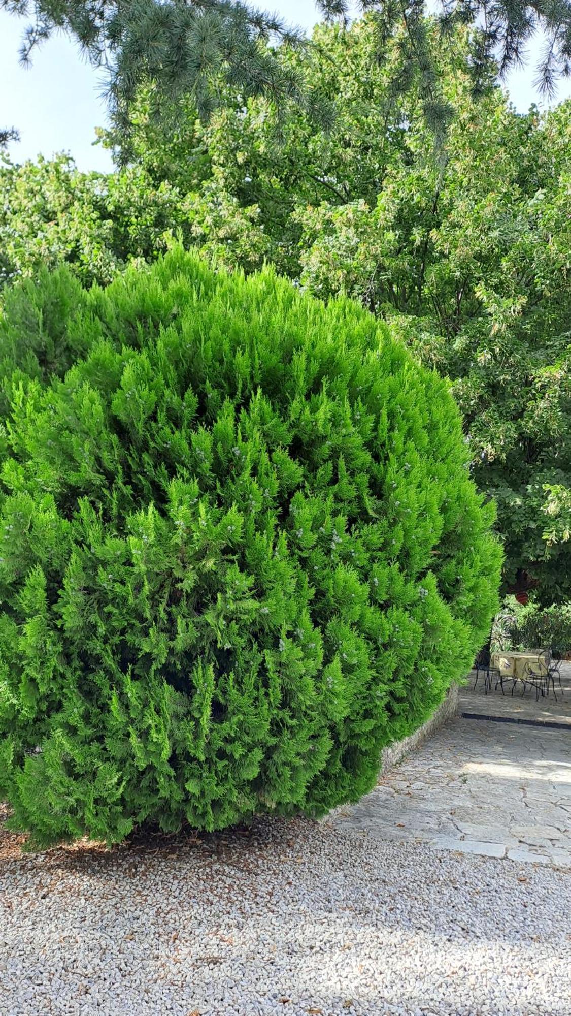 Le Gite Calluna 사블레 외부 사진