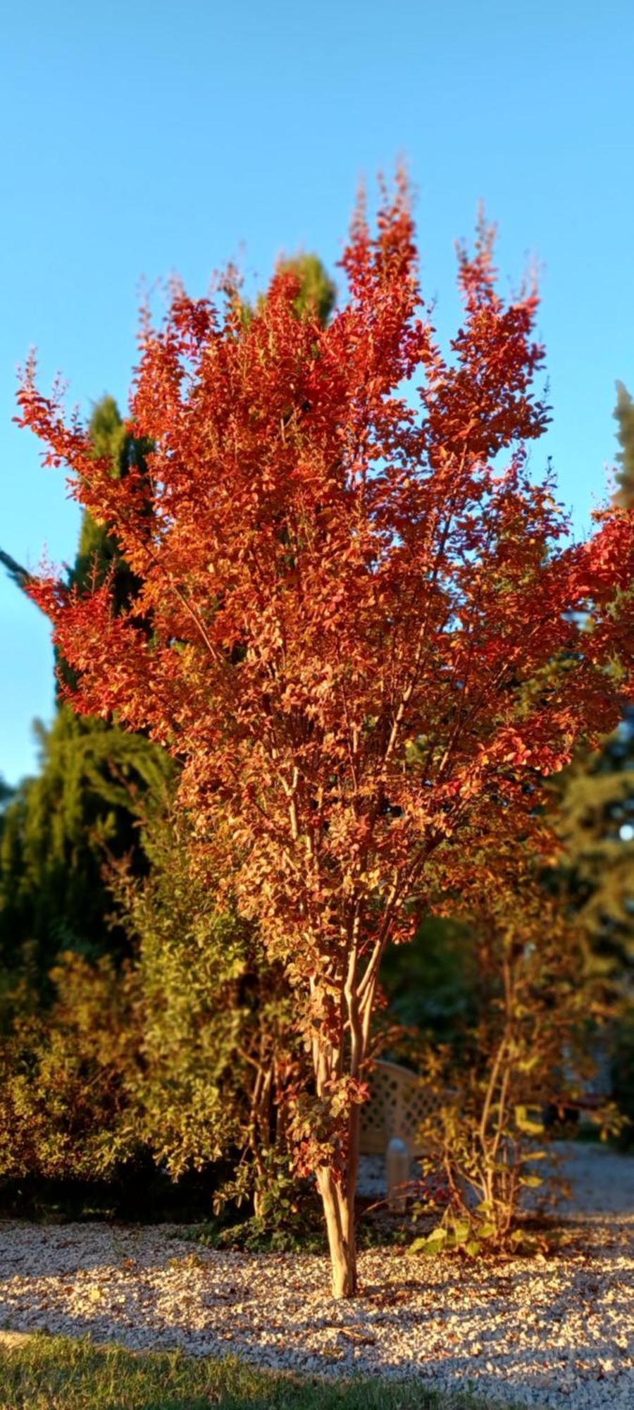 Le Gite Calluna 사블레 객실 사진